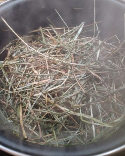 54327d36-4ba2-4fe6-b84e-de0a15550b64