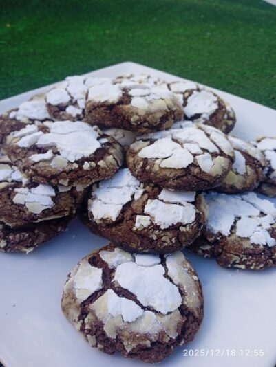 IMG_20251218_125510_2