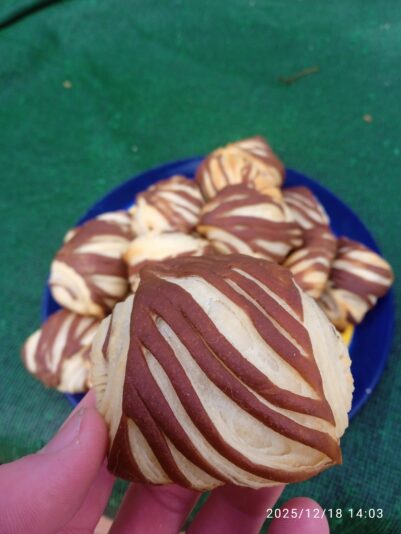 IMG_20251218_140351_1