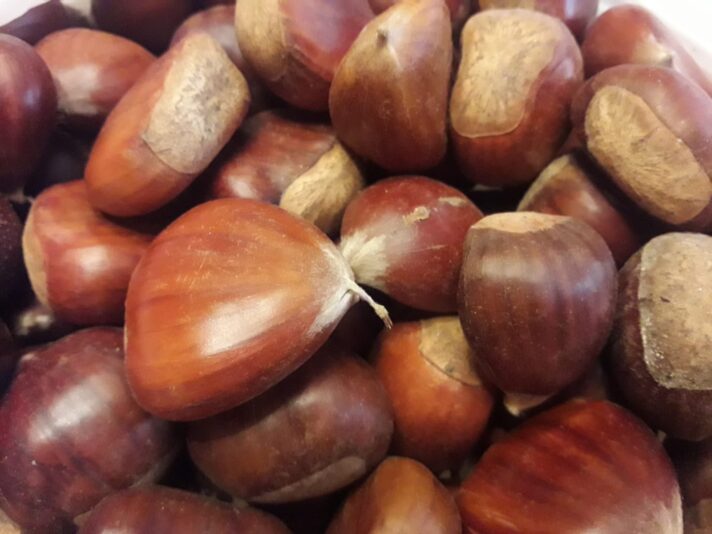 castañas bea torijha