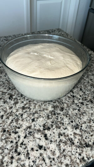 23036F8D-D051-4F6C-976C-DE8F371699B1