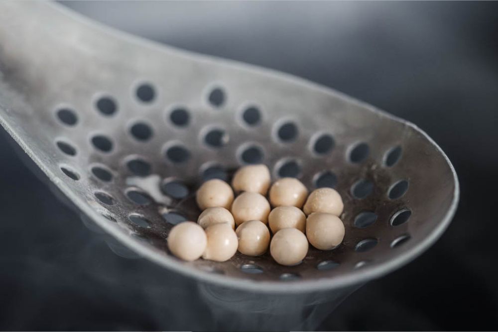 Introduction to Molecular Cuisine
