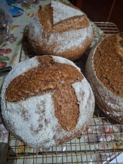 559243600_17996724407827368_2328934990049432735_n