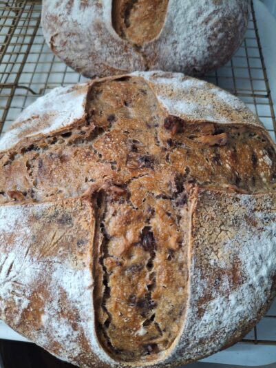 609845643_18007478705827368_335307269760565446_n