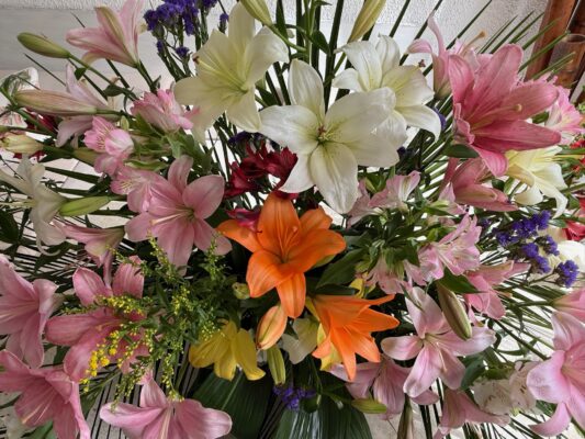 8CBBC4AB-7D2C-4CDE-9986-CC46BC5EDED0