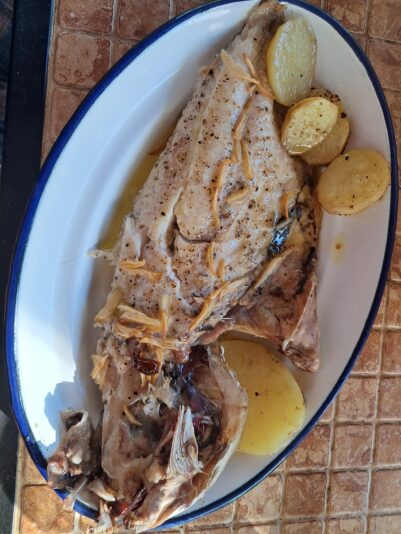 e157b613-a9af-4d52-8e6a-fa0d32317e37-1_all_11524