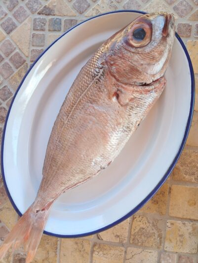 e157b613-a9af-4d52-8e6a-fa0d32317e37-1_all_11531