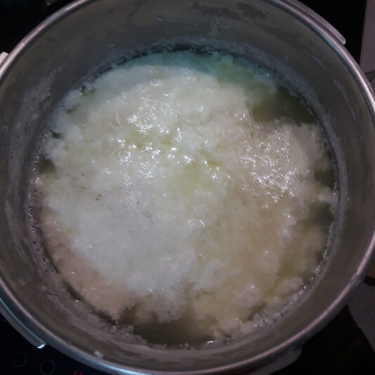 paneer 1 beatriz torija