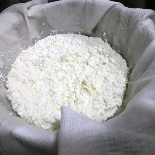 paneer 2 beatriz torija