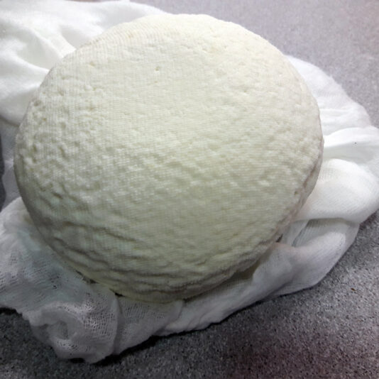 paneer 3 beatriz torija