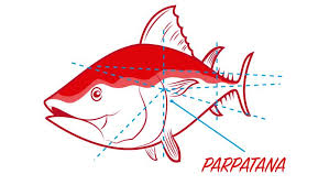 Parpatana de atún III
