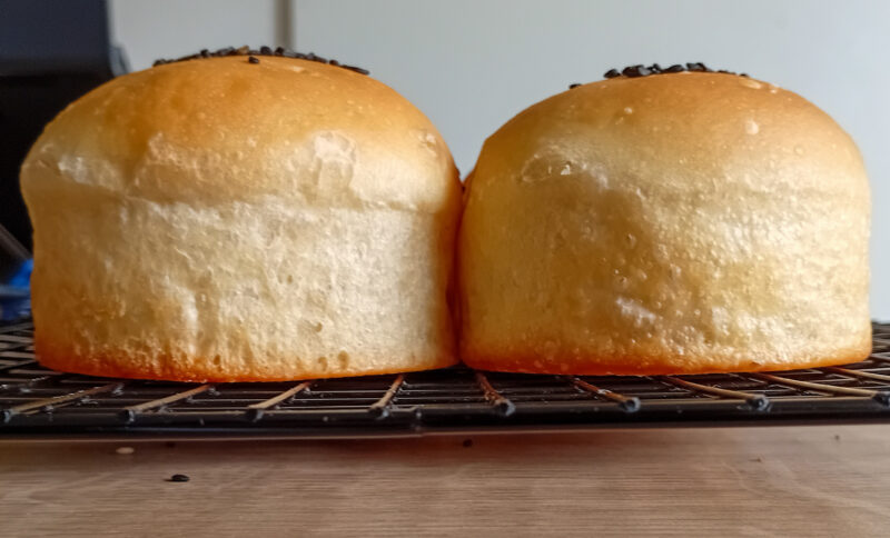 Pedro luis Salazar souquett