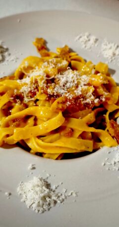 Scoolinars Ganadores - Raul Segura Aparicio