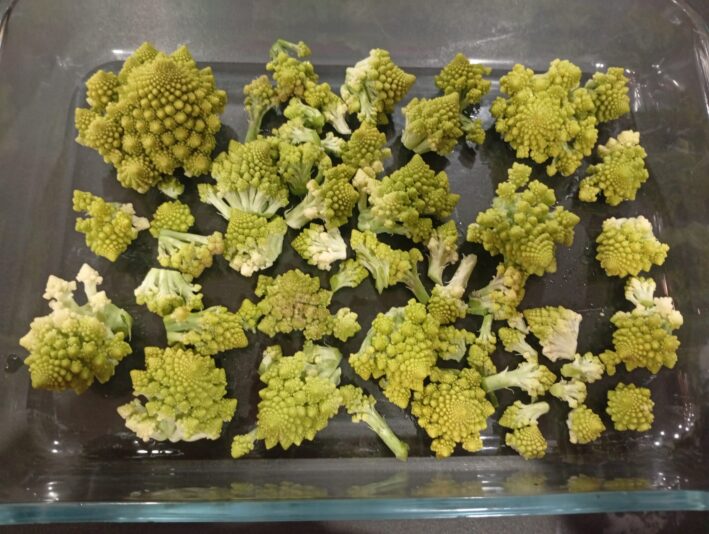 WhatsApp Image 2026-02-24 at 20.24.23