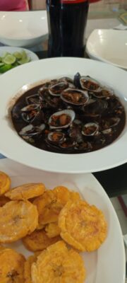 WhatsApp Image 2026-02-27 at 8.42.52 PM