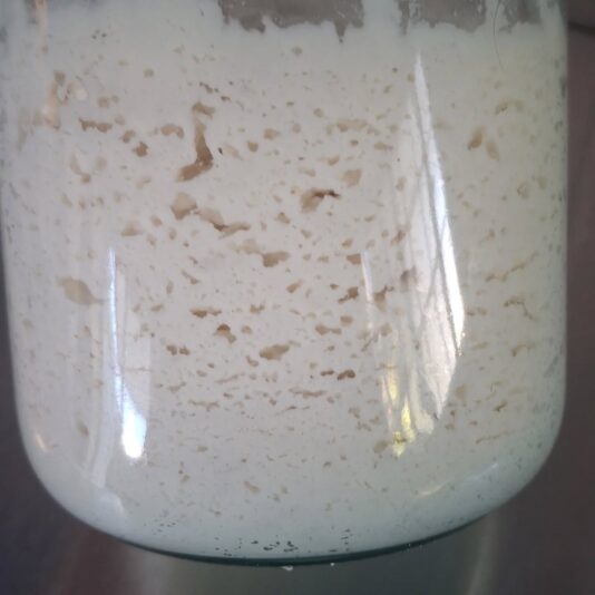 arroz masa madre con kefir