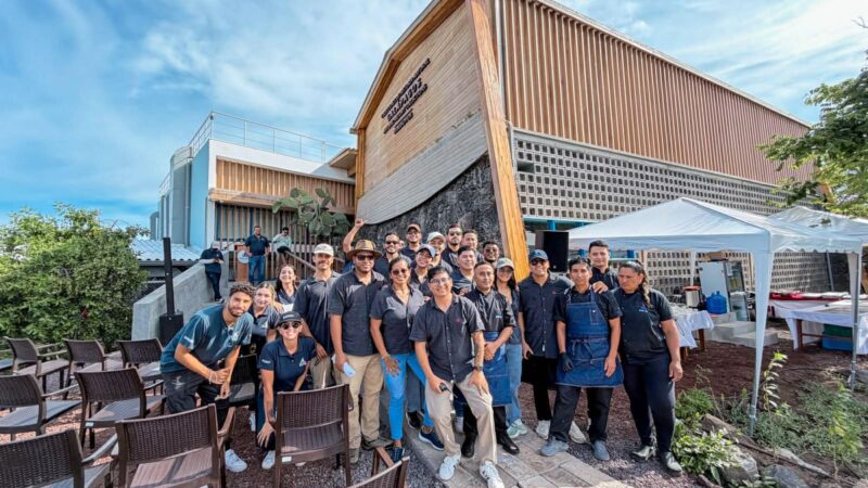 6e3a0f5e-8368-46f8-a316-f9de3665abe2