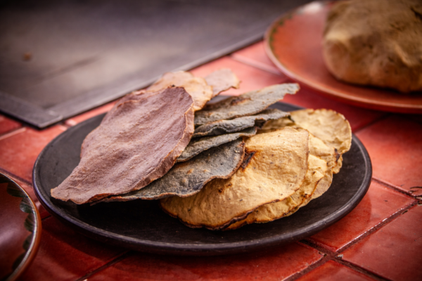 C4L3_COMO DETECTAR UNA TORTILLA DE CALIDAD