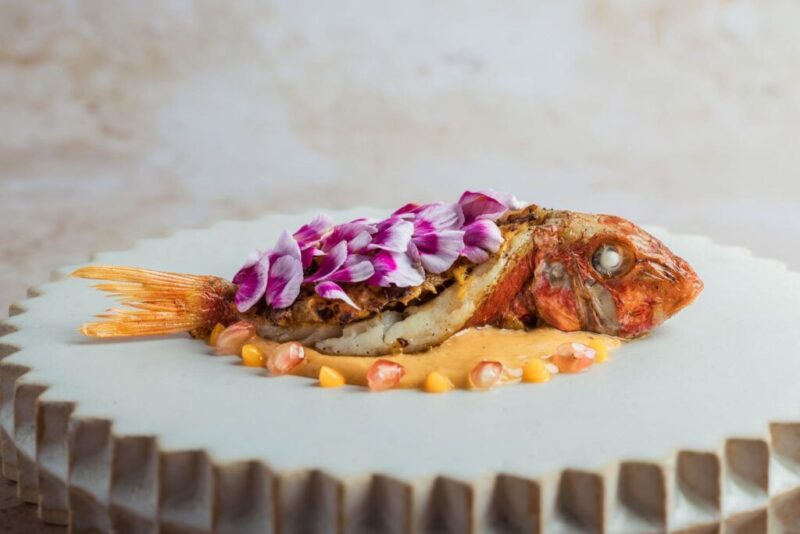 all-cremat-de-salmonete-1024x683