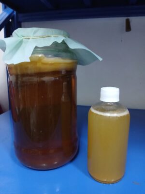 KOmbucha
