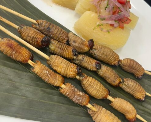 chontacuro