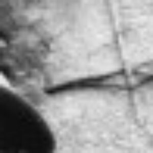 Profile photo of Gerardo Raúl Vidal garcia