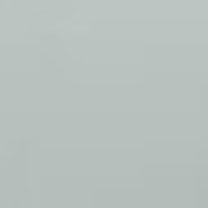 Profile photo of Lizz Loza González