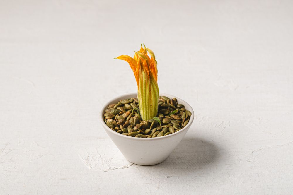 Flor de Calabaza en un Bocado