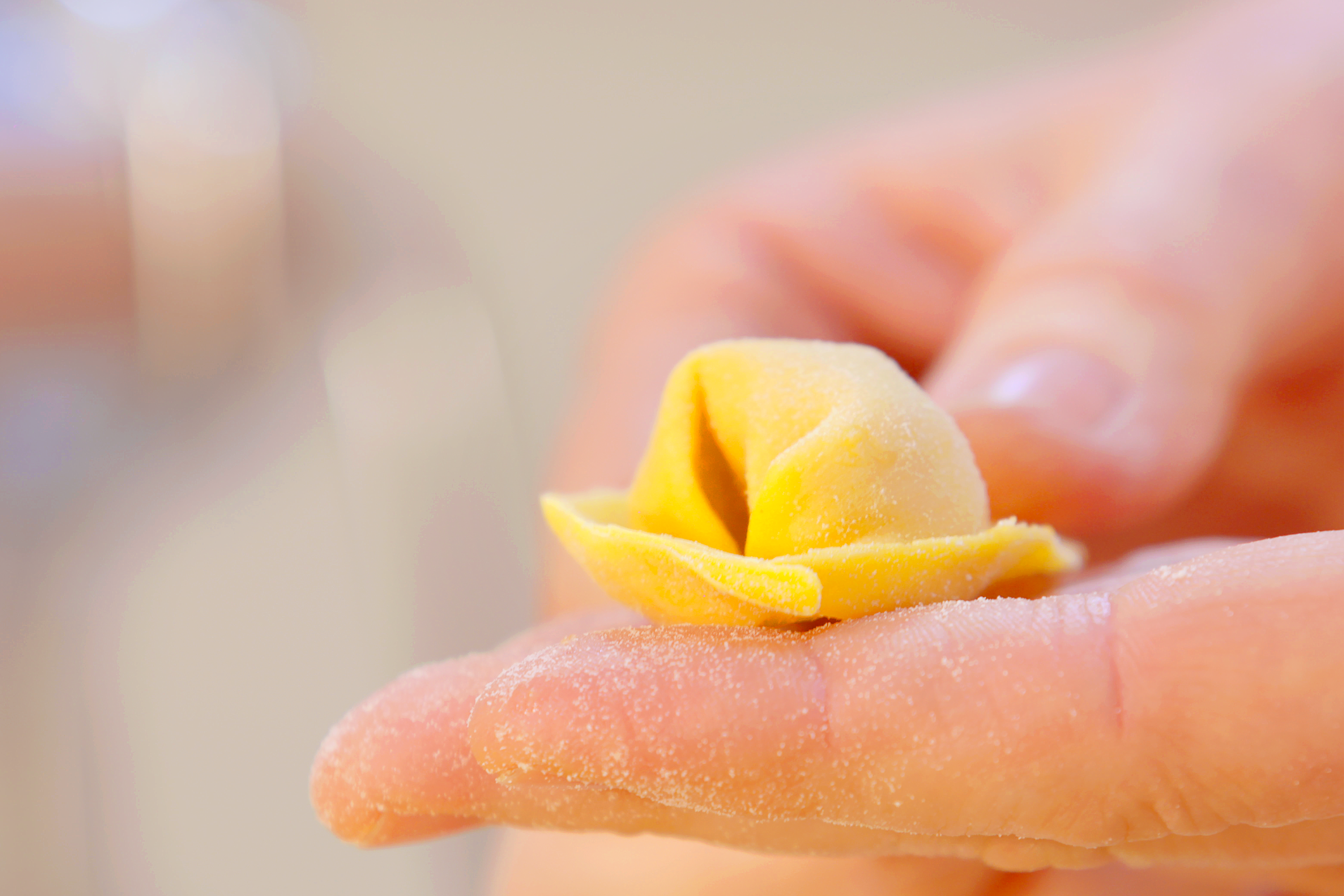 Cappellacci de calabaza, sésamo tostado, fruta confitada de naranja