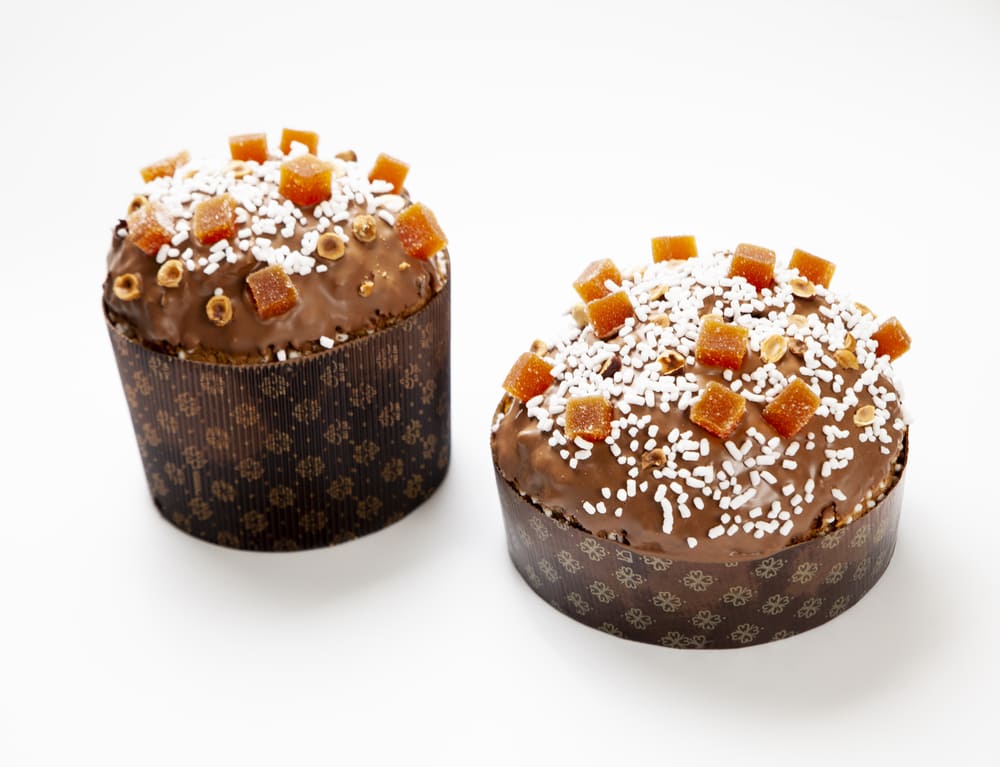 Panettone de albaricoque y gianduja