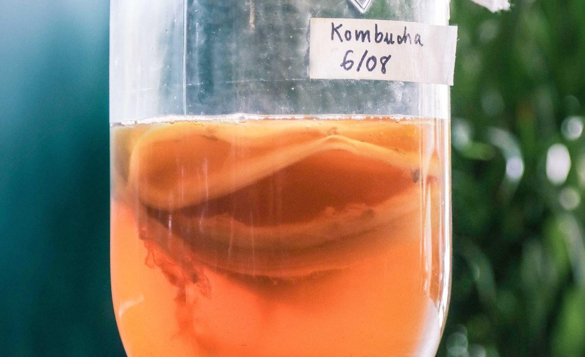 Kombucha