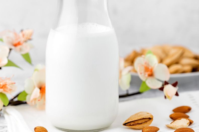 Leche vegetal
