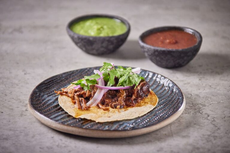 taco de birria