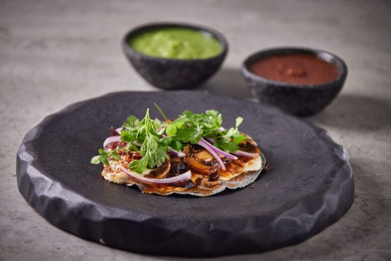 taco de birria de res