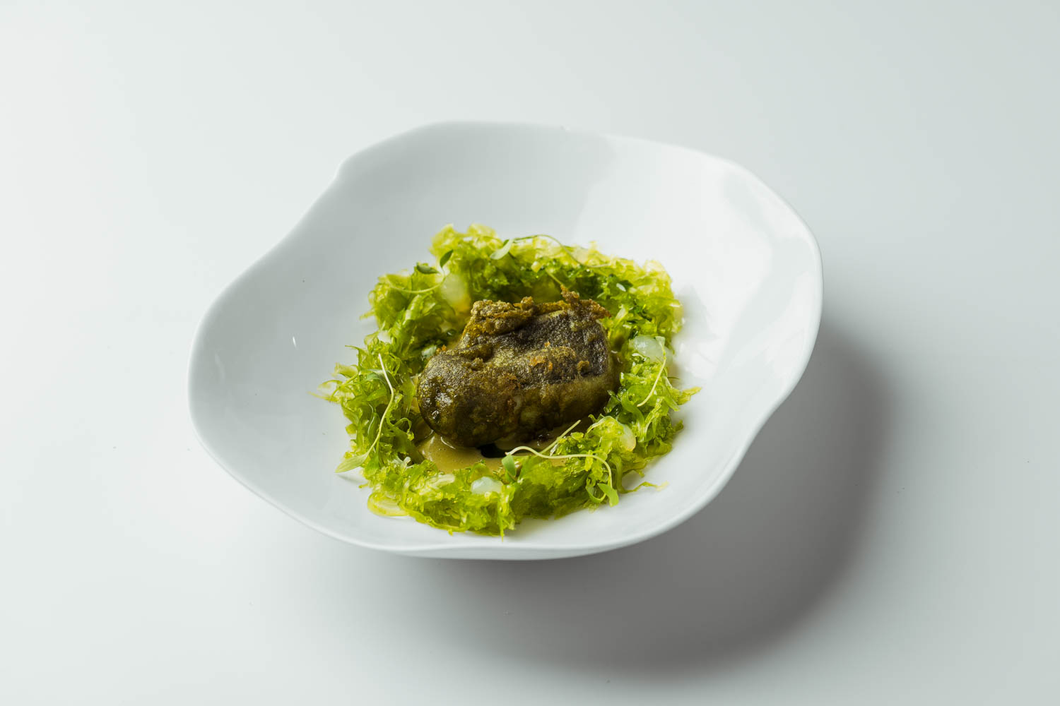Gelatina rallada de cilantro