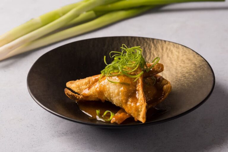 wonton frito de cerdo