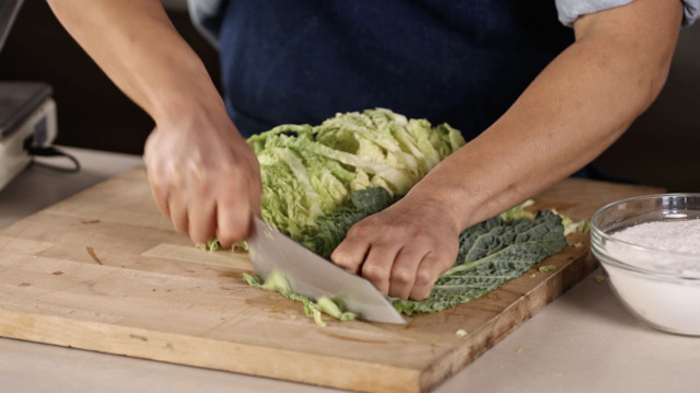 Cut the cabbage for lactic fermentation